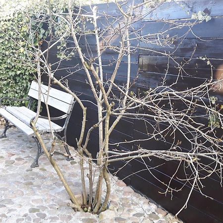 Zacisze Kalwy Lägenhet Exteriör bild