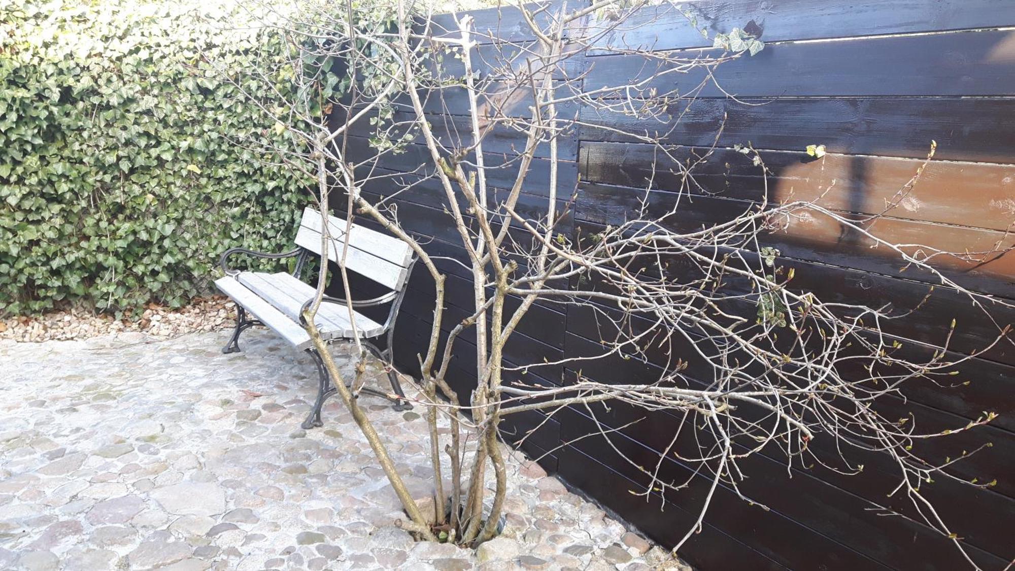 Zacisze Kalwy Lägenhet Exteriör bild