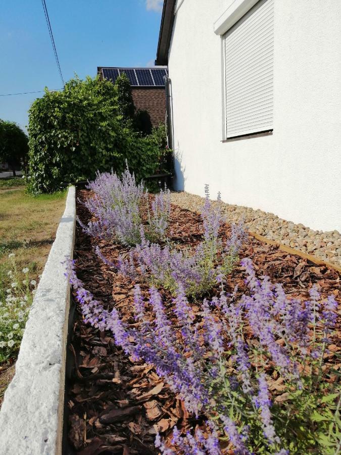 Zacisze Kalwy Lägenhet Exteriör bild